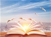 互联网时代文学发展新生态：阅读、评论、创作的全民化