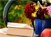 张春梅：中国网络文学批评理论建构